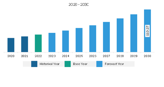 Middle East & Africa Human Vaccine Adjuvants Market Revenue and Forecast to 2030 (US$ Million)