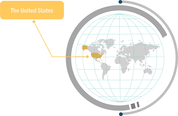 US Nitrogen Generator Market Analysis — by Geography