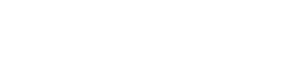 Business Market Insights Logo